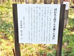 昭和天皇陛下お手播きの唐松　記念板