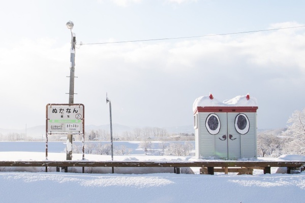 ぬかにゃんに変身したヨドコウ物置