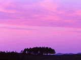 北進地区