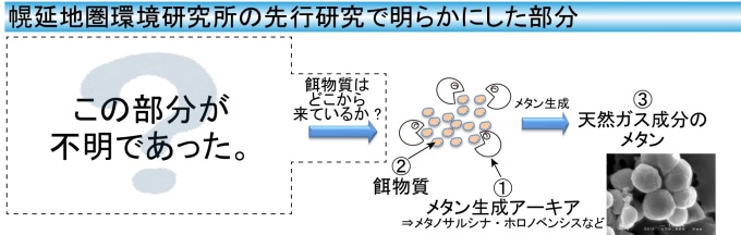 先行研究